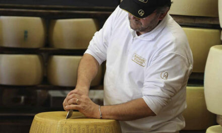 DUE MADONNE LATTERIA Parmigiano Reggiano – Unser Favorit